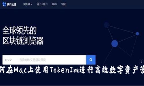 如何在Mac上使用TokenIm进行高效数字资产管理