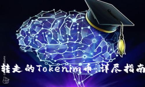 如何找回被转走的Tokenim币：详尽指南与解决方案