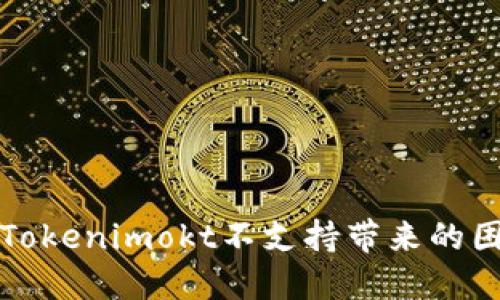 如何解决Tokenimokt不支持带来的困惑与问题