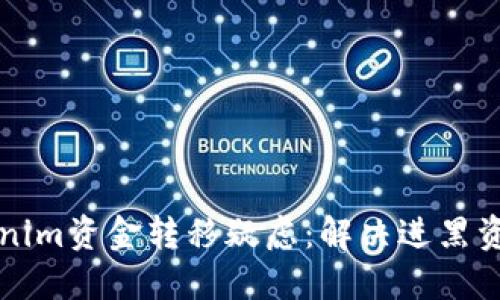 如何应对中的Tokenim资金转移疑虑：解决进黑资金问题的实用指南